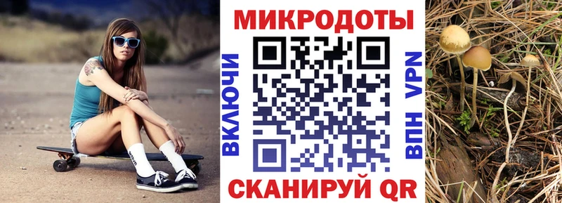 кракен зеркало  Микунь  Галлюциногенные грибы Cubensis 
